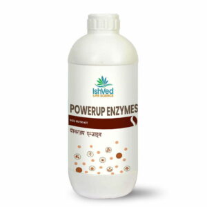 PowerUp Enzymes