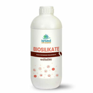 BioSilikate