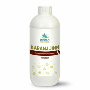 Karanj Jinn