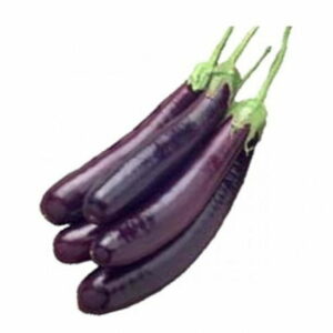 Brinjal – 385