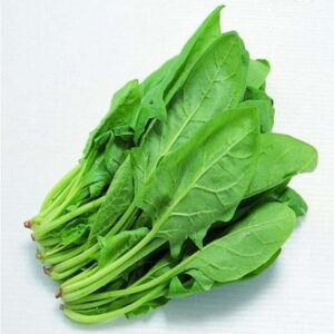 Spinach – 926