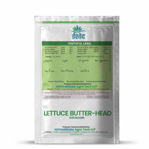 Lettuce butter head – 17