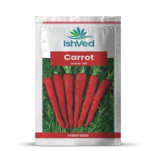 Carrot – 901