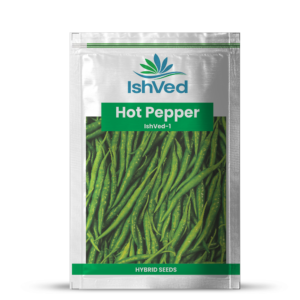 Hot pepper (Chilli) – 1