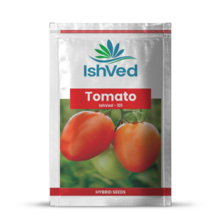 Tomato – 101