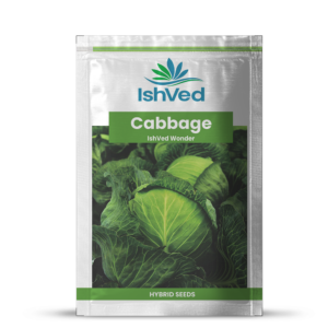 Cabbage – 04