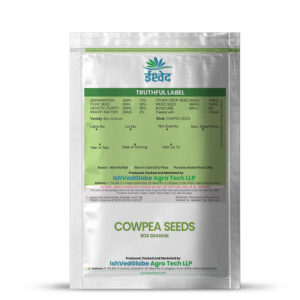 Cowpea seeds – 08