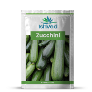 Zucchini – 19