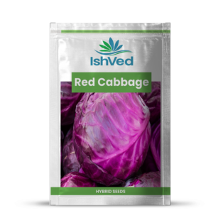 Red Cabbage – 20