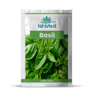 Basil – 21