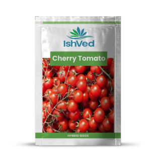 Cherry Tomato – 22